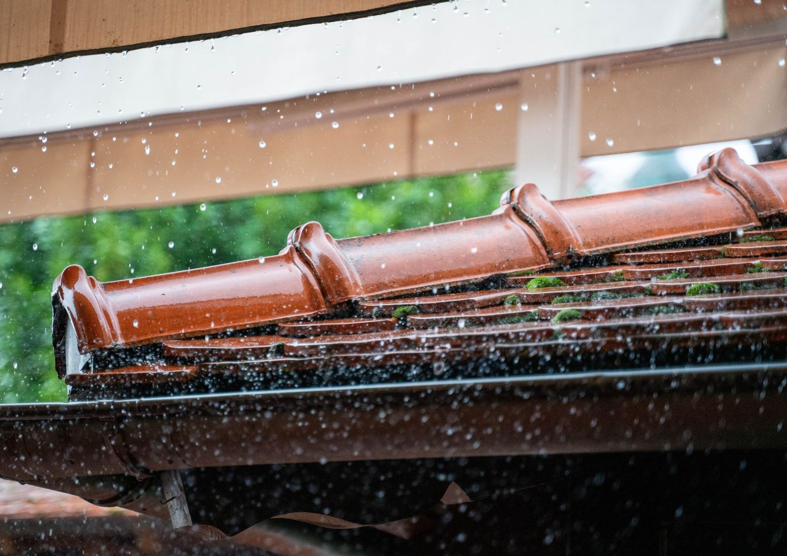 Rain gutter overflowing with wet leaves on a roof edge