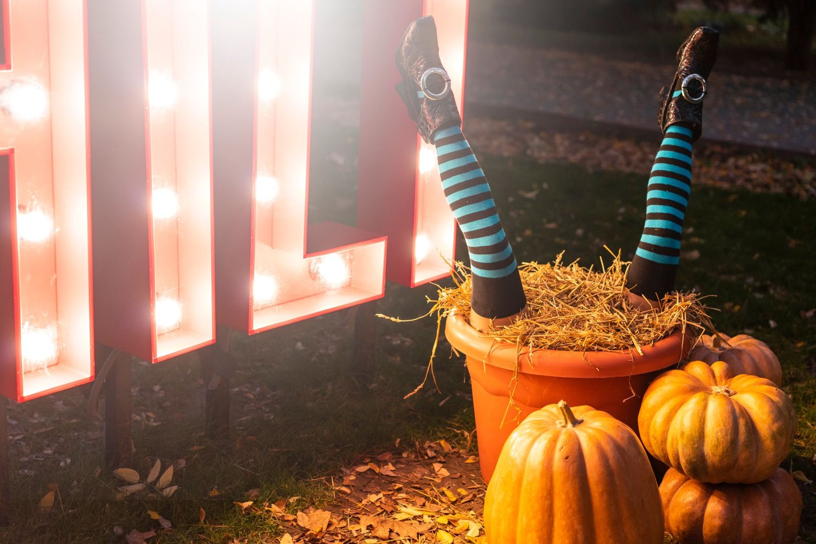 Warm string lights and marquee glow behind pumpkins